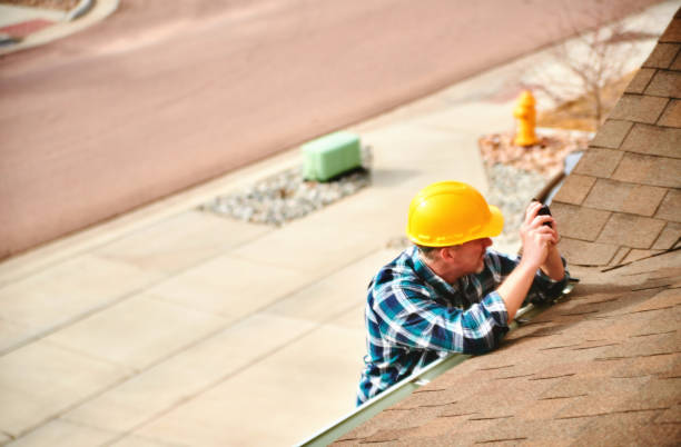 Best Roof Gutter Cleaning  in East Rochester, NY